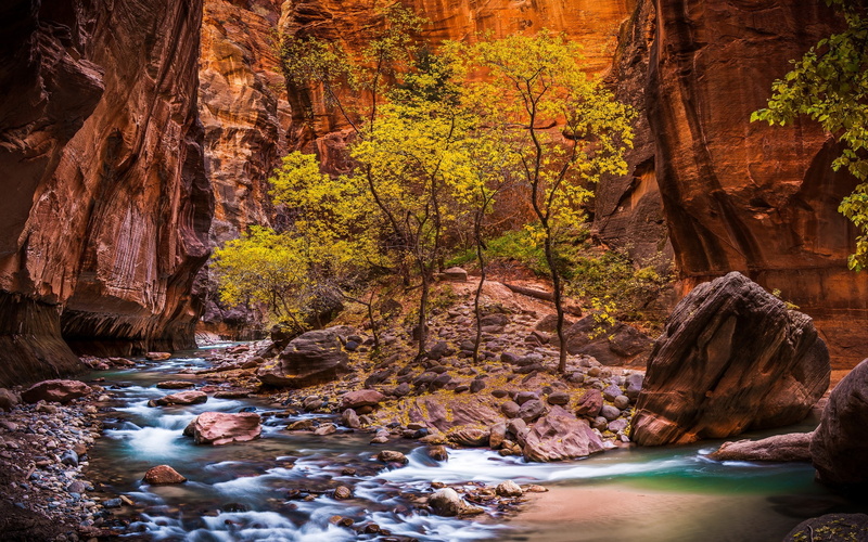 valley, river, stream, nature, zion, 2K, green, zion national park, rock, national, landscape, canyon, park