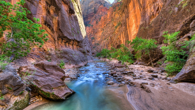 cliff, rock - object, rock, landscape, pine tree, no people, wilderness, land, eroded, 1080P, utah, rock formation, river bed, outdoors, solid, tranquility