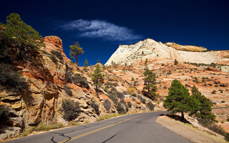 direction, dry, valley, landscape, day, formation, geology, extreme Terrain, famous Place, beauty In Nature, green, non-urban scene, zion National Park