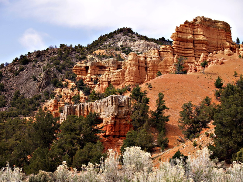 2K, beauty In Nature, plant, scenics, geology, canyon, rock, environment, climate, desert, stone - Object, tranquil scene, Usa, outdoors, extreme Terrain