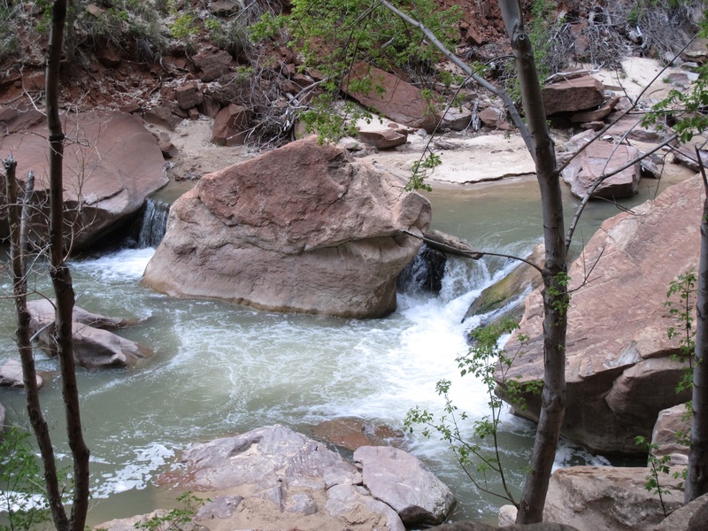 canyon, tree, river, day, beauty in nature, scenics - nature, land, utah, flowing water, no people, zion national park, rock - object, rock, 2K, plant