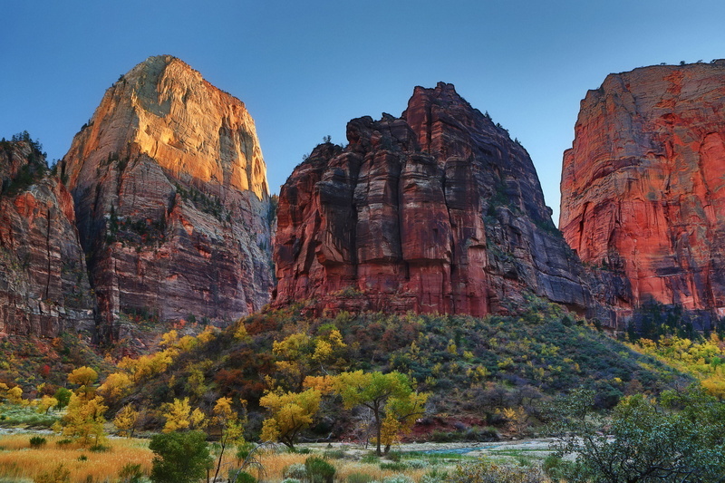 Utah, the bushes, Zion national Park, trees, 1080P, the sky, autumn, nature, Zion, rocks, USA