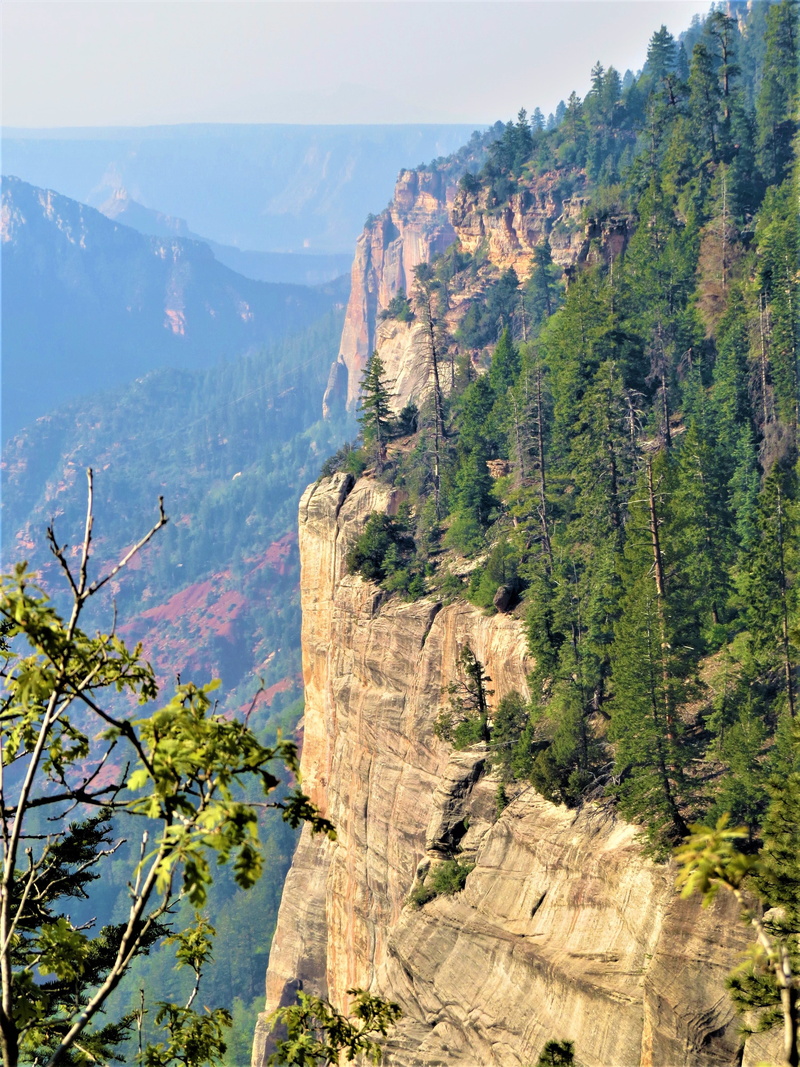 non-urban scene, rock, eroded, landscape, beauty in nature, environment, mountain range, nature, north rim grand canyon, hiking, idyllic, day, tranquil scene