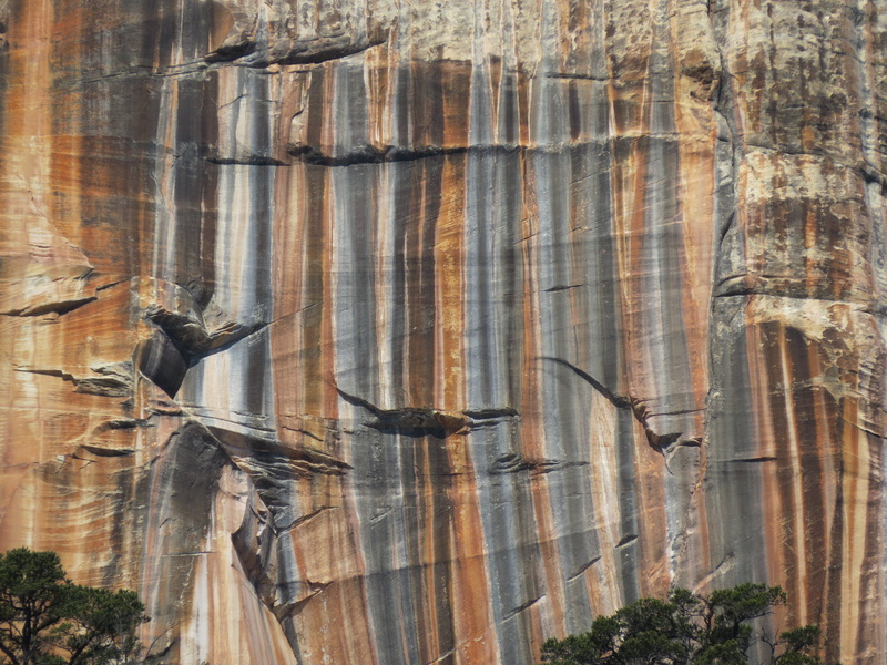 history, the past, rock wall, built structure, mountain, creativity, human representation, tree, plant, low angle view, nature, close-up, Grand Canyon