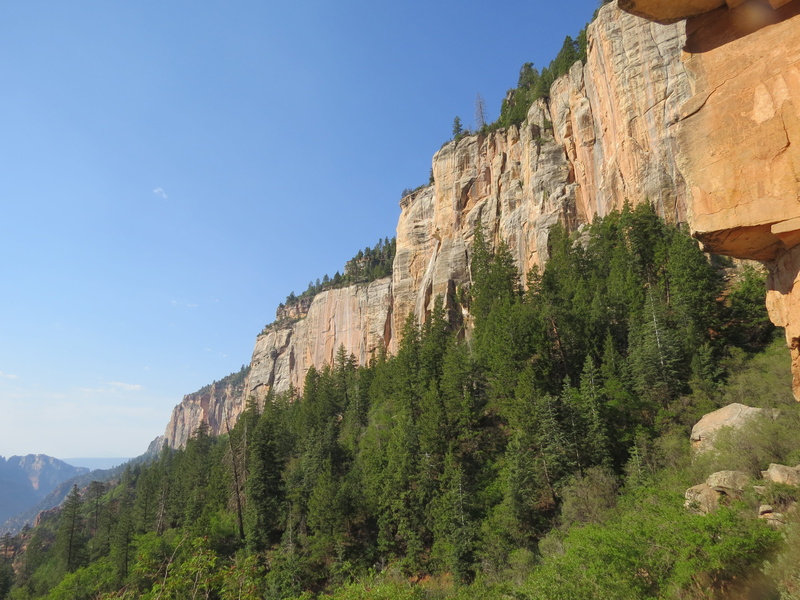 travel destinations, colorful rock, solid, Grand Canyon, no people, plant, architecture, land, mountain, pine tree, 4K, growth, North Rim, mountain range