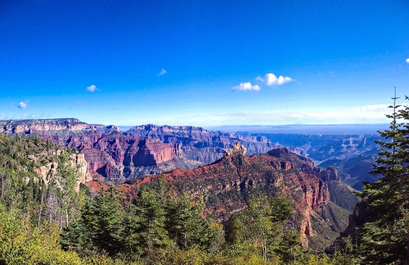 canyon, environment, shadows, grand, travel destinations, solid, sky, scenic, usa, landscape, eroded, rock formation, plant, pine tree, tranquil scene