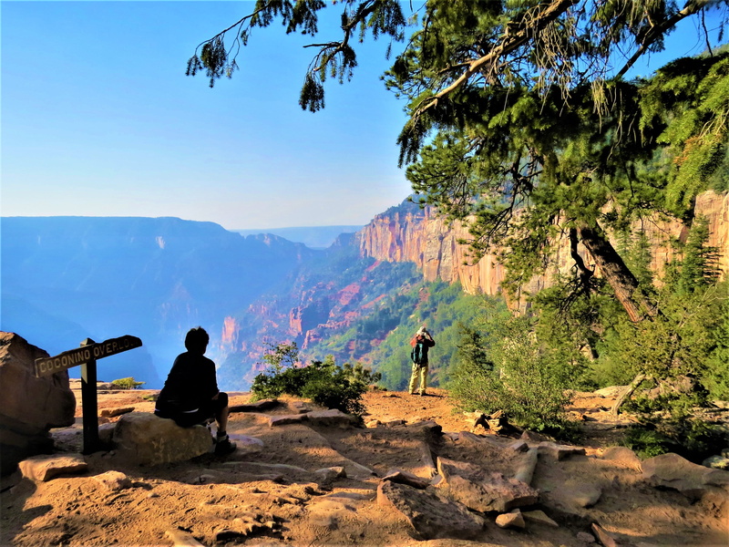 lifestyles, north rim grand canyon, people, scenic, scenics - nature, group of people, looking at view, beauty in nature, mountain, outdoors, nature, sky