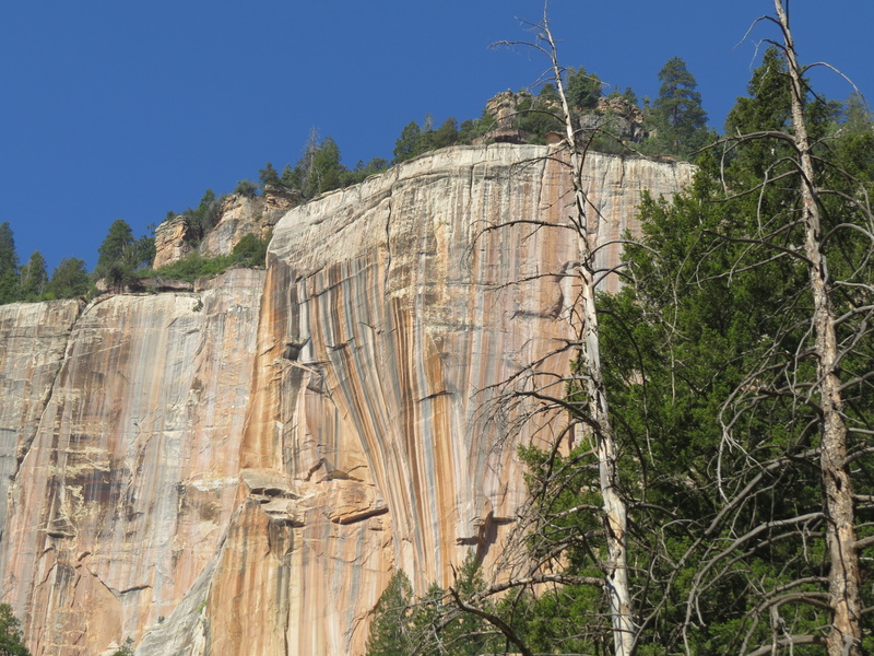 tree, history, no people, 4K, travel destinations, rock - object, rock formation, formation, sky, architecture, outdoors, national, wilderness, clear sky
