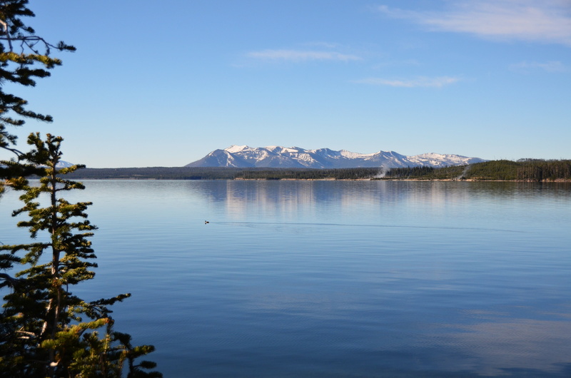 outdoors, view, water, duck, scenics, mountains, snowcapped mountain, tree, winter, cold temperature, tranquility, usa, range, scenic, yellowstone national park