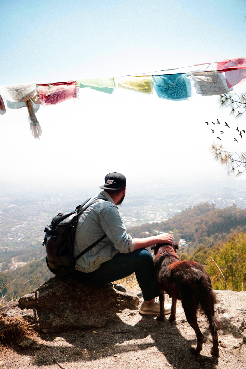 day, action, domestic, travel, nature, man, sitting, adventure, pet, daylight, vertebrate, rock, backpacker, lifestyles, animal, overlooking, recreation