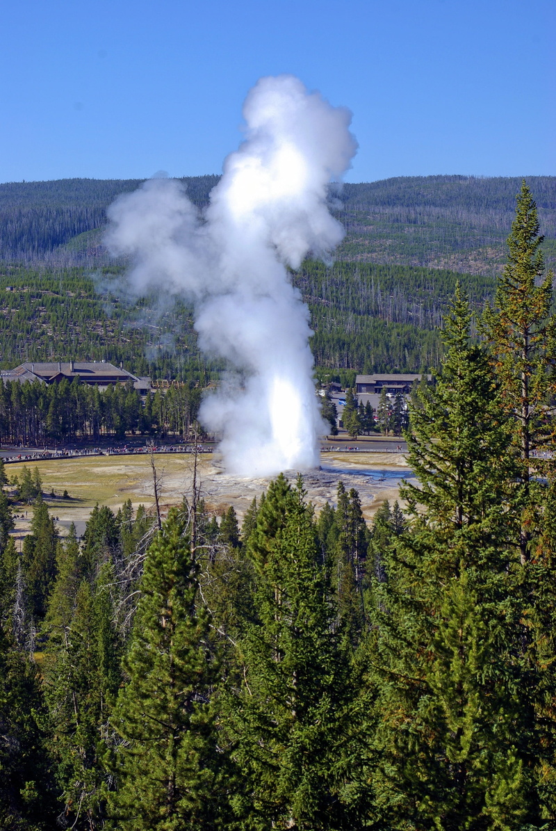 geothermal, hot, pollution, wyoming, geyser, 2K, old faithful geyser overlook, smoke - physical structure, green color, plant, water, land, growth, usa