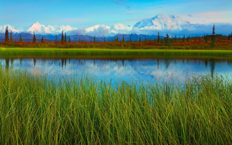 Lake, 1080P, Mountains, National, Scenery, Spring, Park, Denali