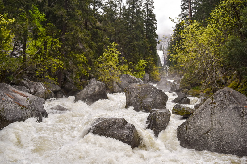 sport, tree, rock - object, day, power in nature, forest, stream - flowing water, flowing water, yosemite, nature, beauty in nature, outdoors, plant, merced river