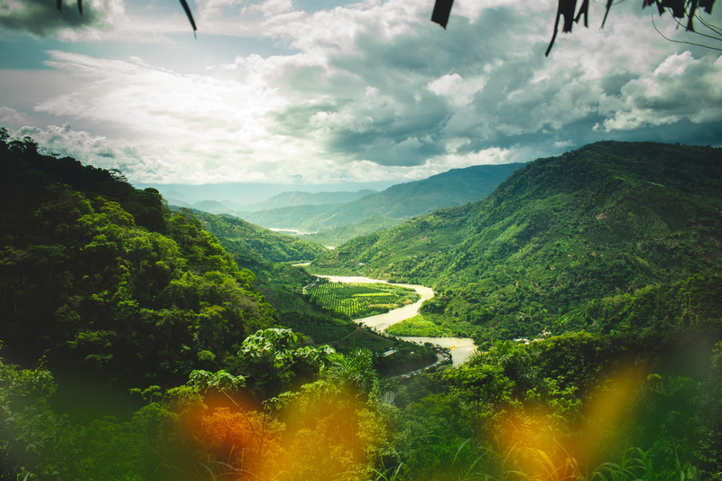 plant, growth, river, day, countryside, mountain range, photography, outdoors, landscape, woodland, idyllic, environment, 5K, beauty in nature, mountain