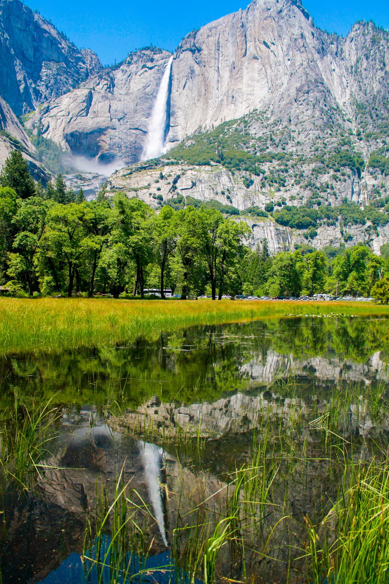 falls, nevada, snow, nature, pine tree, tourism, landmark, forest, reflection, usa, beauty in nature, scenics - nature, america, summer, green color, sky