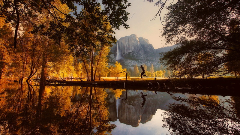 no people, plant, waterfront, water, jump, non-urban scene, day, branch, tranquility, wilderness, tree, nature, change, landscape, 1080P, yosemite national park