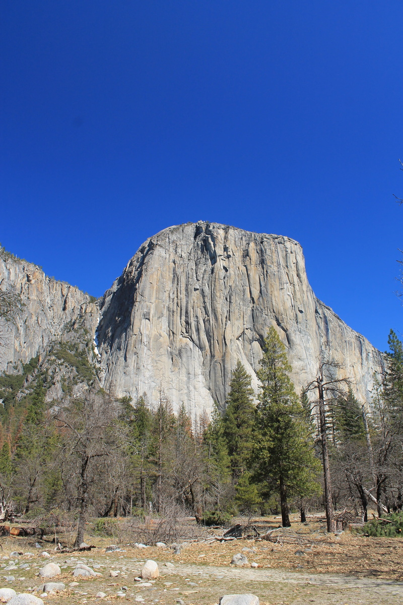 landscape, copy space, national, pine, merced, scenic, sierra, rock - Object, sky, 4K, high, destination, outdoors, mountain range, fall, nature, stone