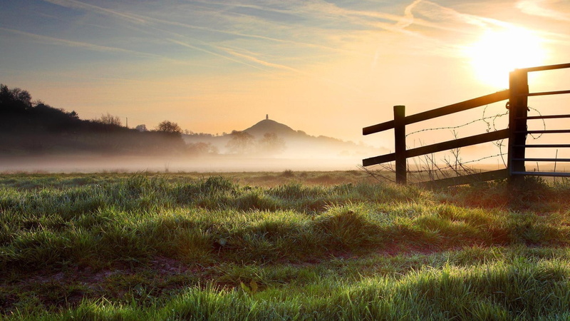 grassy, mist, field, 1080P, grass, nature and landscapes, fence, sunrise