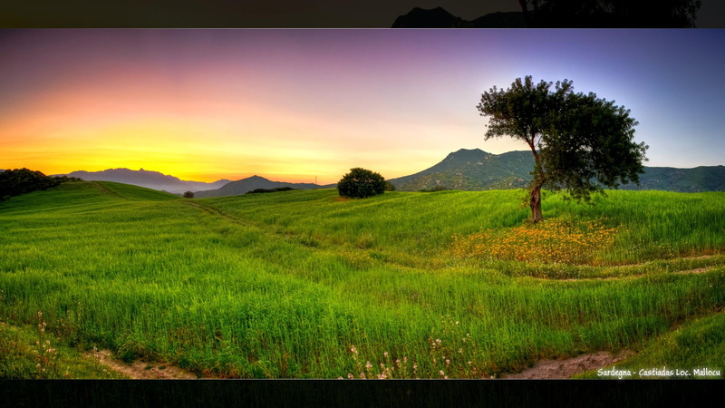 road, 1080P, sunset, tree, grassy, fields, 3d and abstract