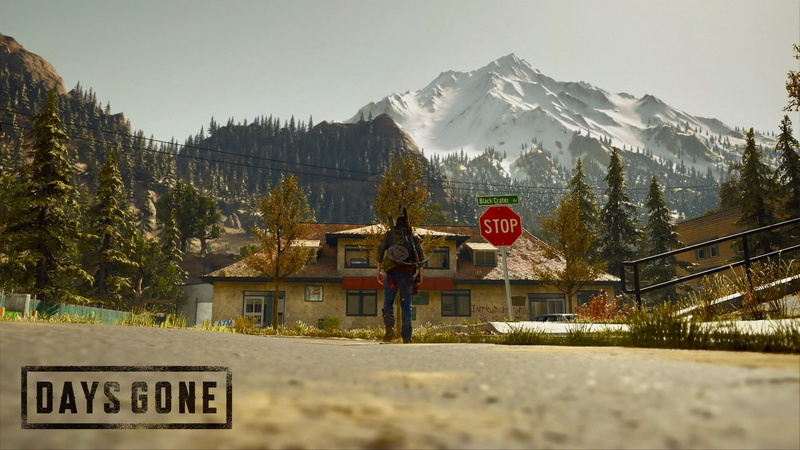 Days Gone, 1080P, video games, PlayStation 4