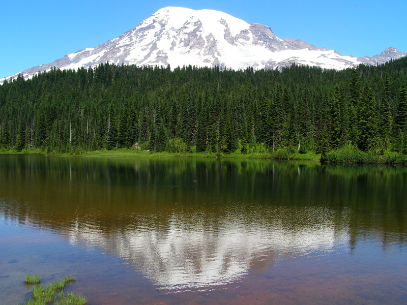volcano  mountain, tree, Mount Rainier, lake, blue, glaciers, green, Cascade Range, mountain, landscape, blue sky, summer, 2K, Reflection, Mt. Rainier National Park