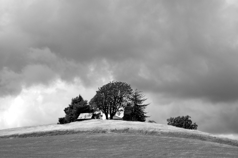 winter, land, farmhouse, cloud - sky, nature, scenics - nature, coniferous tree, tree, trees, outdoors, tranquil scene, paso robles, coulds, united states