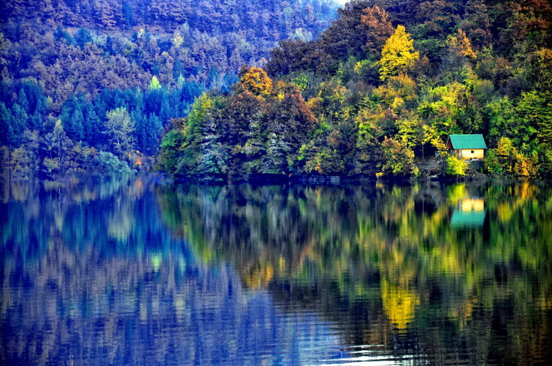 body, nice, beautiful, lovely, bungalow, lake, shore, trees, water, green, 1080P, crystal, cabin, riverbank, near, lakeshore, mirrore, reflection, amazing