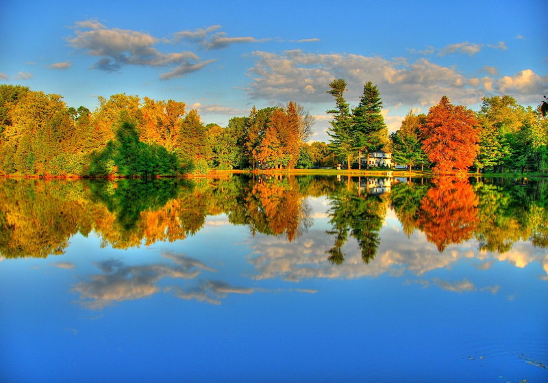 lakeshore, water, 1080P, riverbank, reflections, mirror, amazing, beautiful, reflection, lovely, shore, nice, trees, lake, cabin