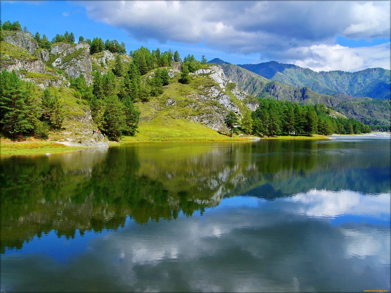 1080P, nice, trees, lakeshore, shore, calm, mirrored, rive, reflections, lovely, lake, river, greenery, beautiful, riverbank