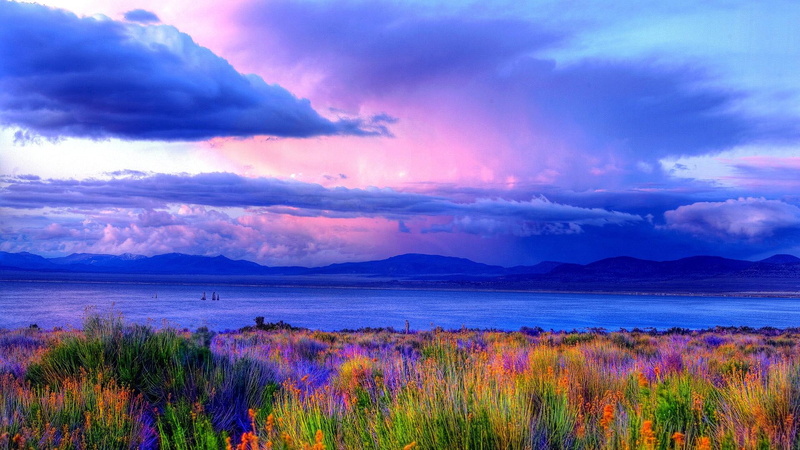 blossoms, mountains, river, 1080P, nature and landscapes, riverbank, clouds