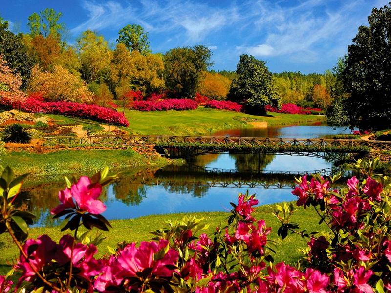 grass, beautiful, lovely, colorful, flowers, water, day, riverbank, river, clear, 1080P, mirrored, nice, clouds