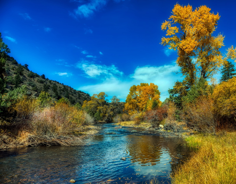 4K, river, water, change, country, scenics - nature, non-urban scene, nature, tourism, beautiful, no people, growth, america, forest, cloud - sky, trees