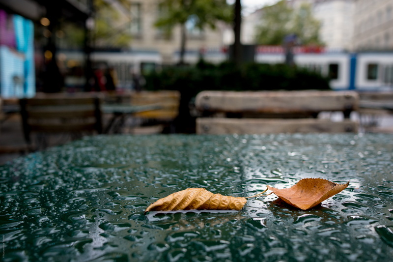 food, Zürich, 5K, brown, Sonnar, Zurigo, E già, two, leaves, Sony NEX 7, E 1, T* E