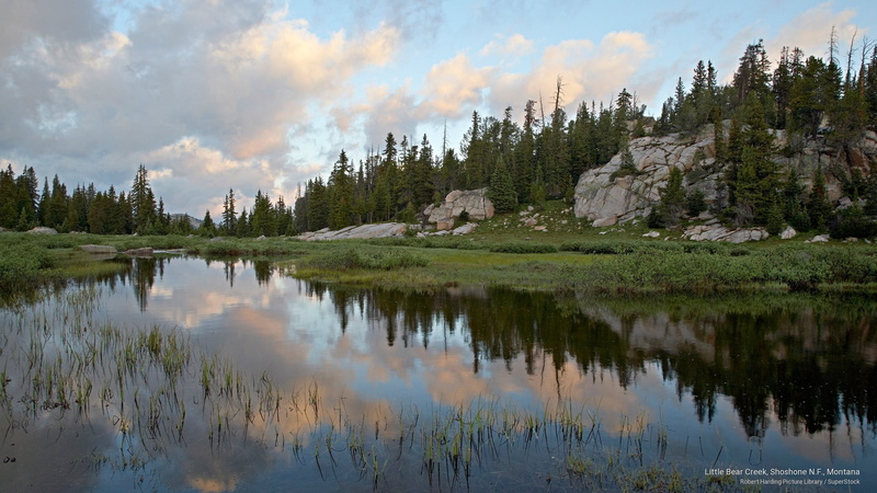 2K, shoshone, n, f, little, Nature, bear, montana, creek