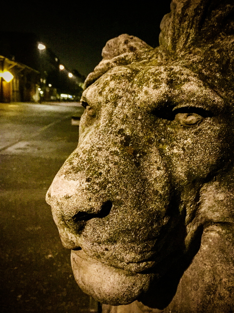 metal, close-up, male likeness, golden, representation, 2K, stone, illuminated, equestrian statue, golden rider, lion, no people, globe, magdeburger reiter