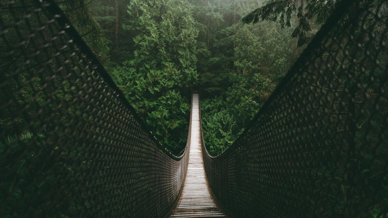 direction, british columbia, canada, tree, no people, diminishing perspective, grass, outdoors, biome, footpath, lynn canyon, foliage, connection, architecture