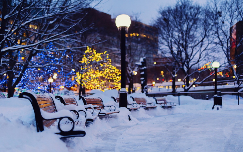 1080P, Lights, Garden, City, Bench, Snow, Winter, Night