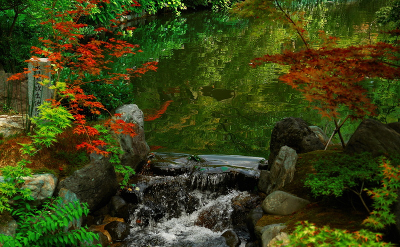 Asia, no people, flowing, kyoto, day, change, tranquil scene, water, forest, Japan, nature, scenics - nature, rock, outdoors, solid, tranquility, tree