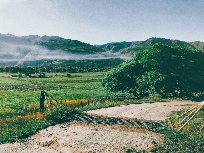 cattle guard, mountain, truee, plant, growth, mist, environment, farm, colorado, durango, scenics - nature, outdoors, day, animas river, tranquility, sky