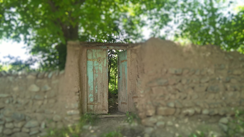 garden, trees, tree, built structure, iran, building exterior, selective focus, plant, green, nature, growth, wall, focus on foreground, east azerbaijan province