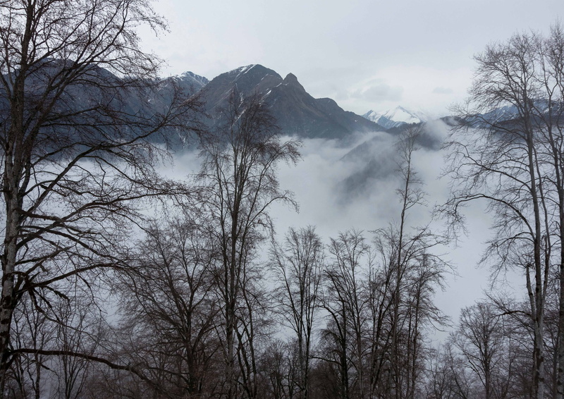 mountain peak, tree, coldly, clouds, fog, snow, idyllic, scenics - nature, mountains, beauty in nature, winter, cold temperature, tranquil scene, tranquility