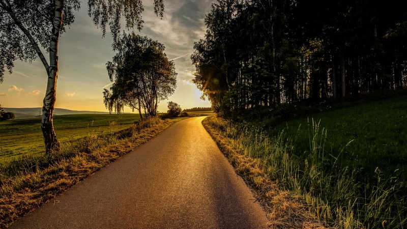 rural area, sunlight, tree, forest, road, landscape, 4K, sunset, field, evening