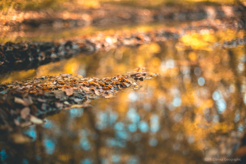 nature, bokeh, Crimea, 2K, fall, reflection