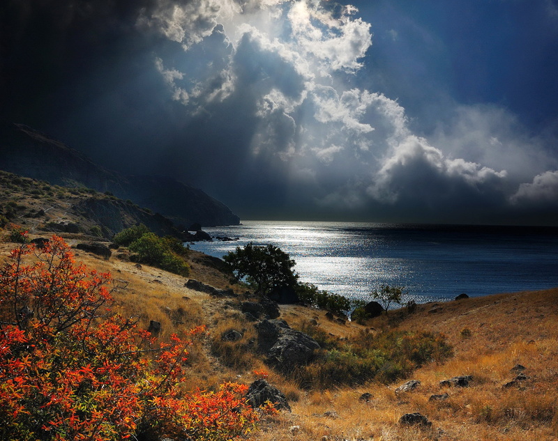 cloudscape, plant, travel, coastline, grass, summer, waters Edge, landscape, storm, tourism, sea, beauty In Nature, scenics, tranquility, 1080P, vacations