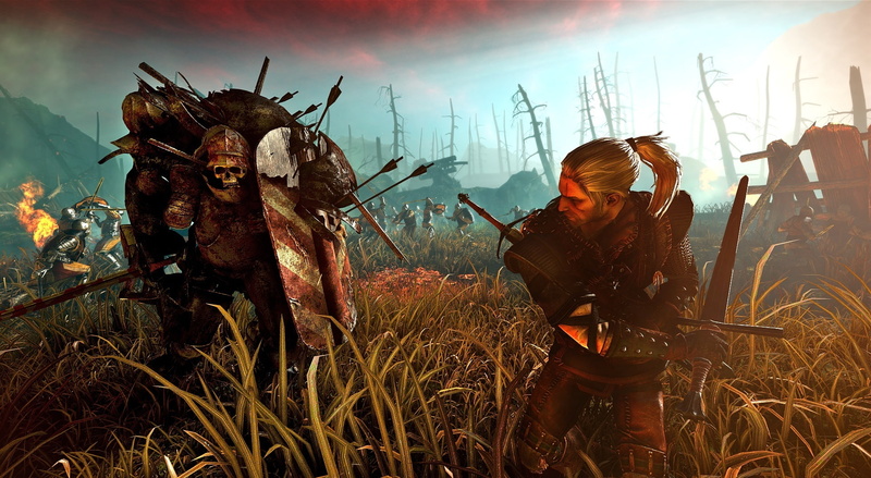 land, the witcher 2 assassins of kings, day, The Witcher, grass, man, adult, witcher, men, 1080P, holding, field, real people, kings, the witcher 2 screenshots
