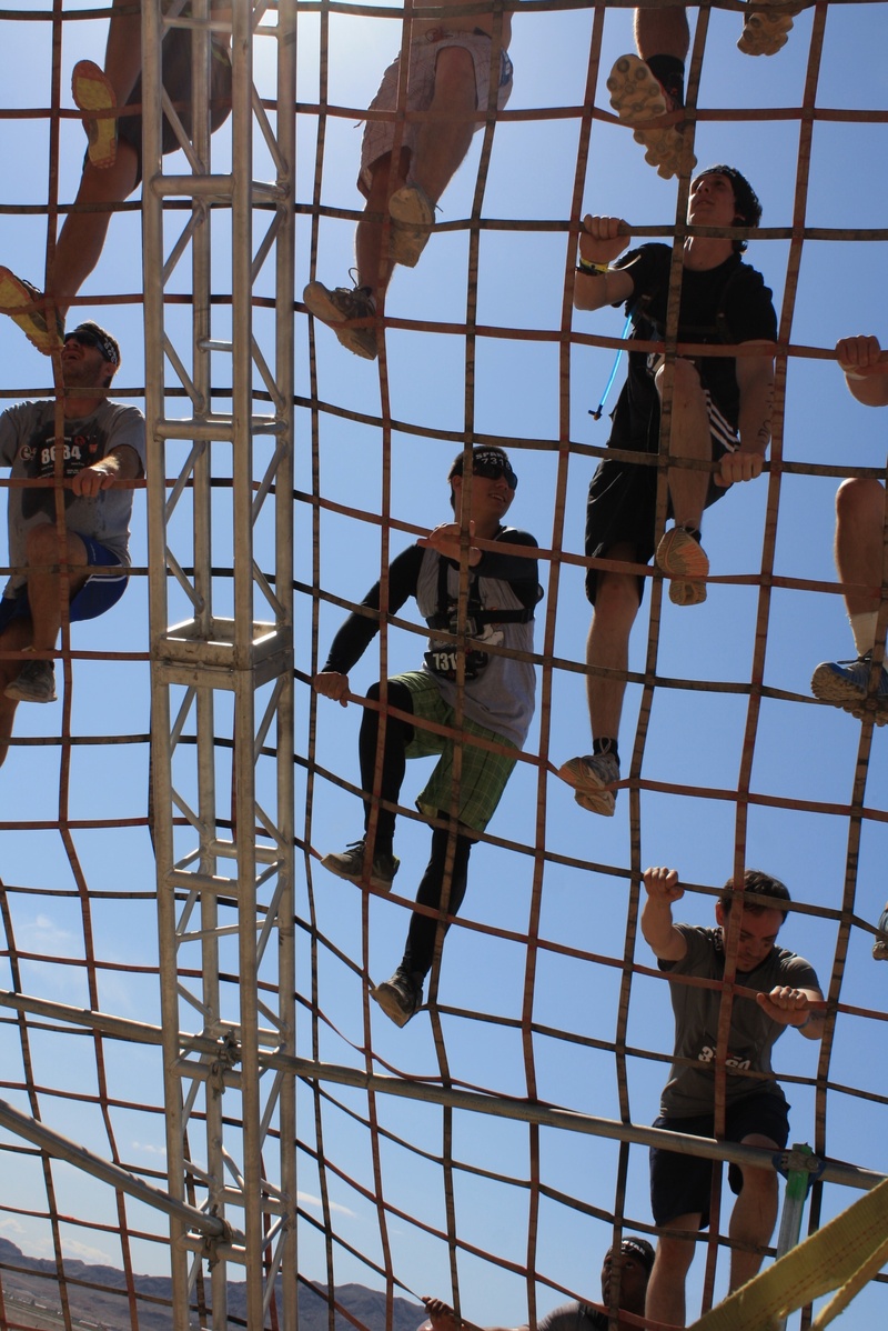 challenge, glass - material, nature, group, full length, spartan, architecture, day, group of people, effort, climb, sky, rope, climbing, cargo net, fun