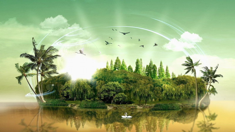 Trees, 3D, Birds, d, 1080P, Creative, Island, Swans, Palm, Pictures, photo