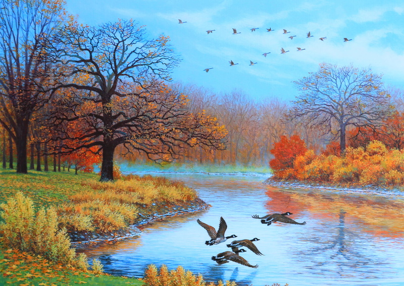 rural Scene, water, wildlife, outdoors, reflection, animal themes, duck, ducks, flock of birds, group of animals, plant, landscape, 1080P, red, pond, bird