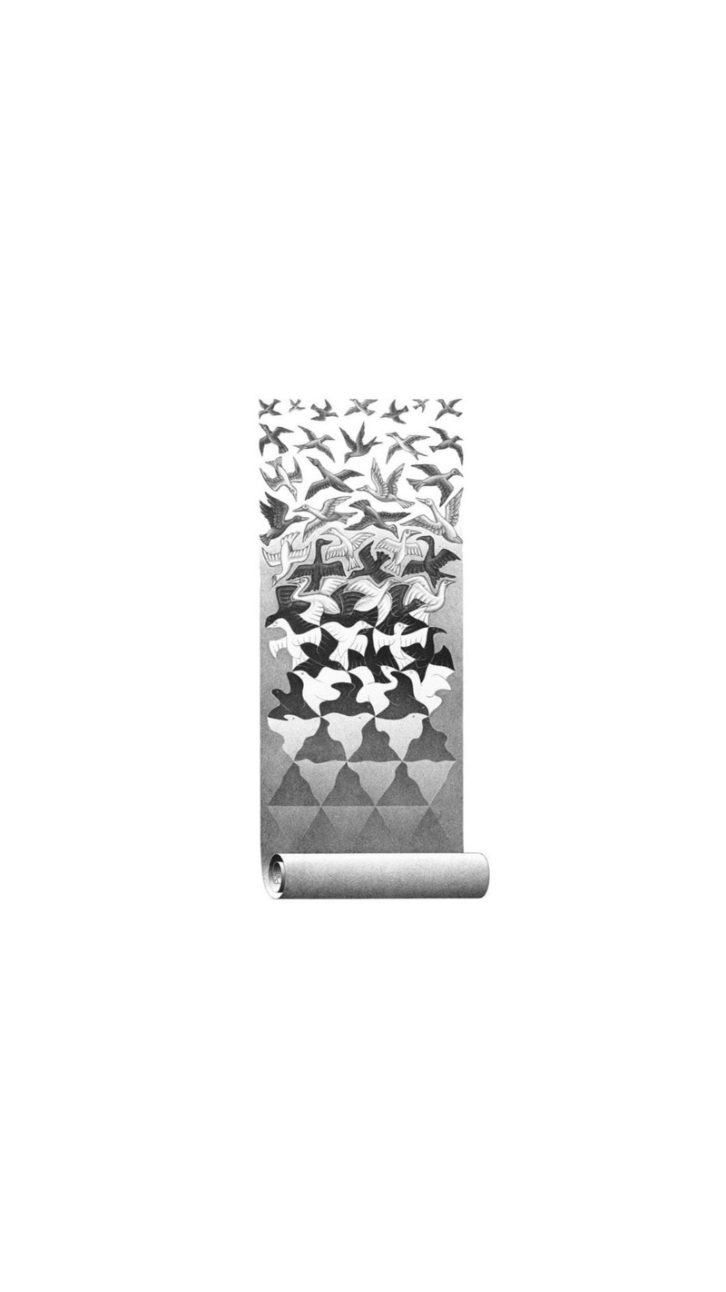 birds, Portrait Display, artwork, M. C. Escher, Triangle, monochrome, geometry, Optical Illusion, Sketches, Flying, cgi, minimalism, White Background, 1080P