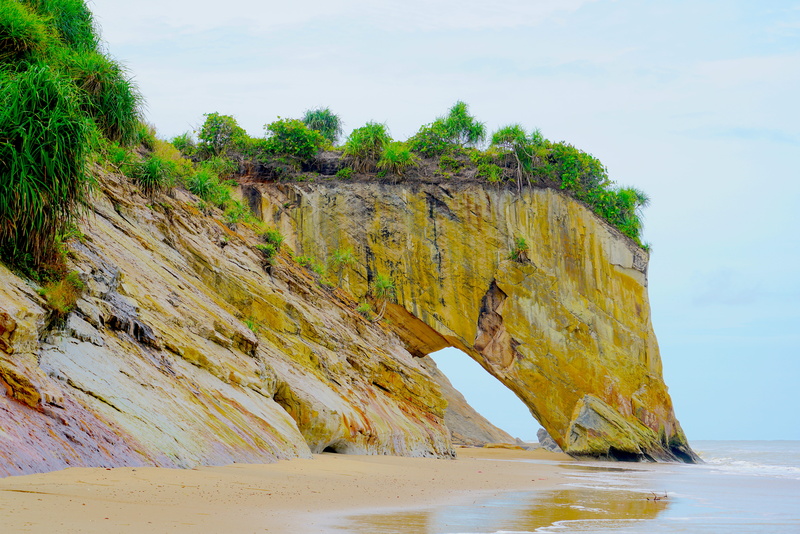 no people, plant, malaysia, outdoors, cliff, land, sea, scenics - nature, arch, rock formation, solid, tree, natural arch, tusan, rock, 8K, rock - object